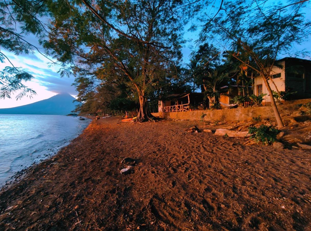 Hostel Los Chocoyos Merida Екстер'єр фото